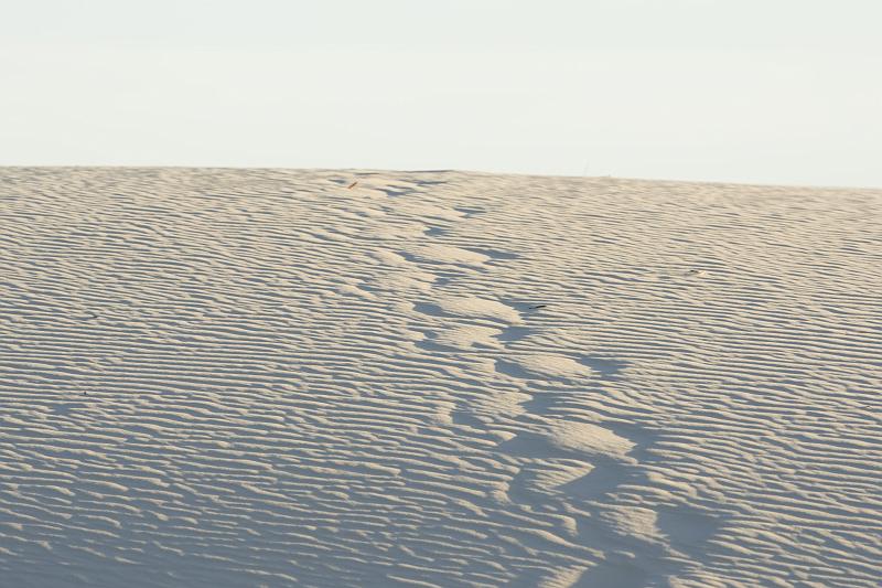 Ghost Town Sample Collection-9.jpg